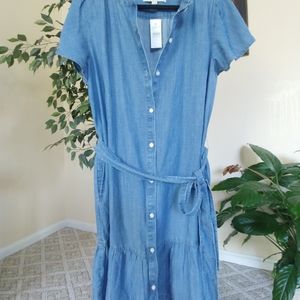 LOFT Denim Ruffled Collar Dress